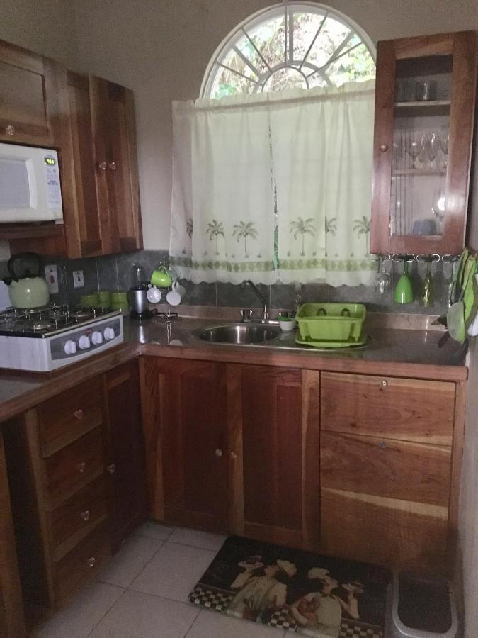 #D1 Castle Studio Wifi King Bed Ocho Rios Jamaica Екстериор снимка