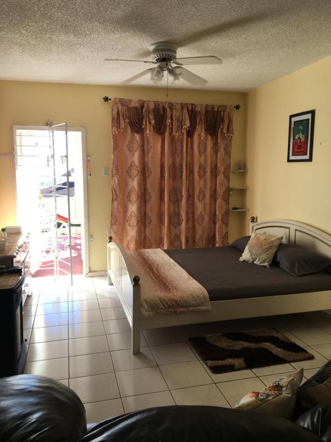 #D1 Castle Studio Wifi King Bed Ocho Rios Jamaica Екстериор снимка