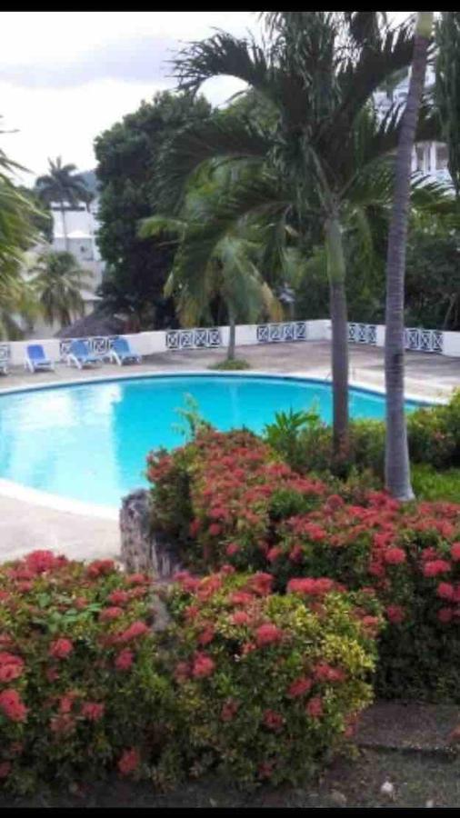 #D1 Castle Studio Wifi King Bed Ocho Rios Jamaica Екстериор снимка
