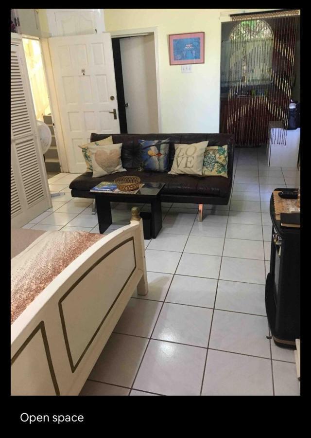#D1 Castle Studio Wifi King Bed Ocho Rios Jamaica Екстериор снимка